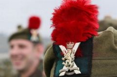 3690890BLACK-WATCH-RED-HACKLE-army-soldier-cap-Scottish-badge-miltary-red-plume-cap-badge-crest-B